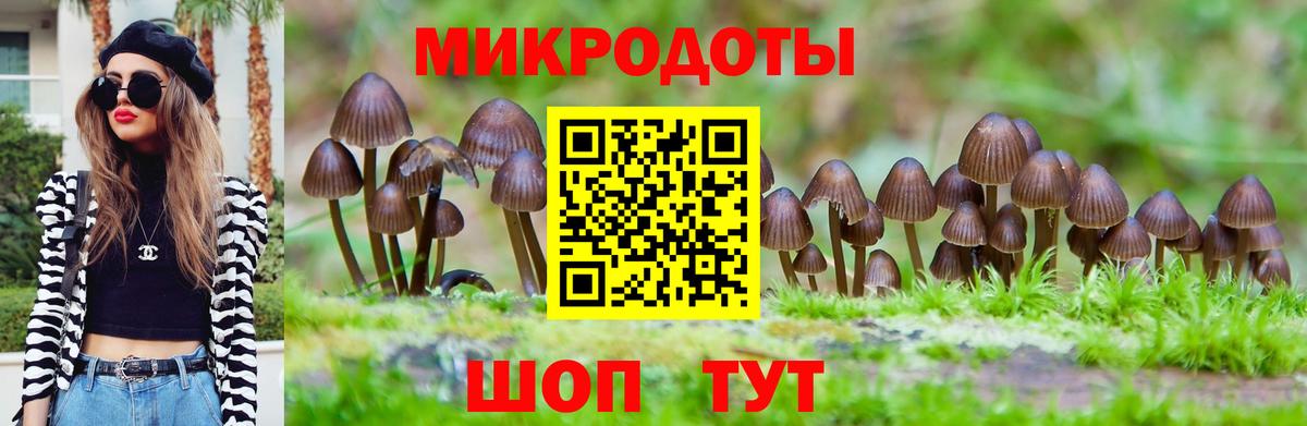 Курчатов  Галлюциногенные грибы мухоморы  Вход с VPN  Галлюциногенные грибы мицелий 